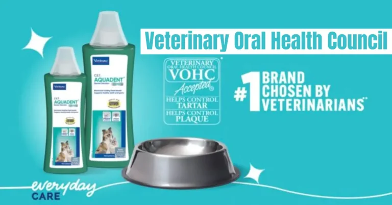 veterinary oral health council
